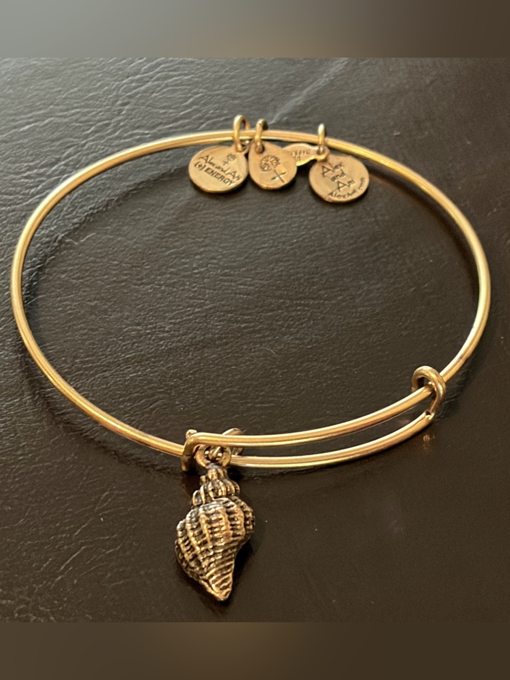 Alex and Ani Gold-Tone Shell Charm Bangle